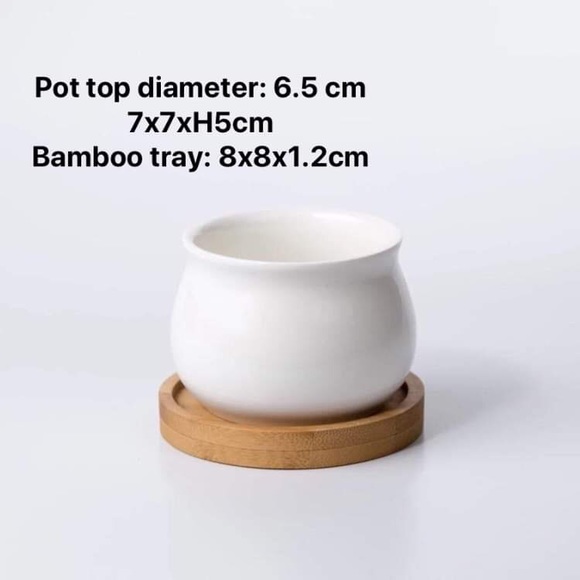 Succulent ceramic pot with bamboo tray - Picture 1 of 1